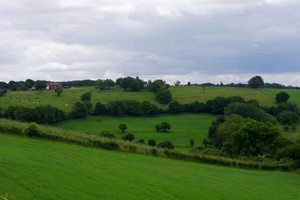 IMGP4510