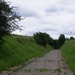 IMGP4511
