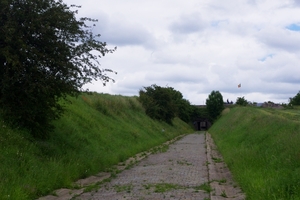 IMGP4511