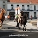IMG_5426 (2)