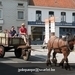 IMG_5440 (2)