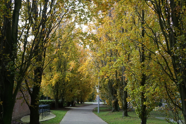 Oud Kerkhof Blekerijstraat-9-11-19-Herfst