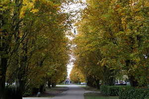 Oud Kerkhof Blekerijstraat-9-11-19-Herfst