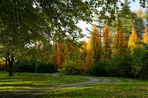 Oud Kerkhof Blekerijstraat-9-11-19-Herfst