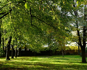 Oud Kerkhof Blekerijstraat-9-11-19-Herfst