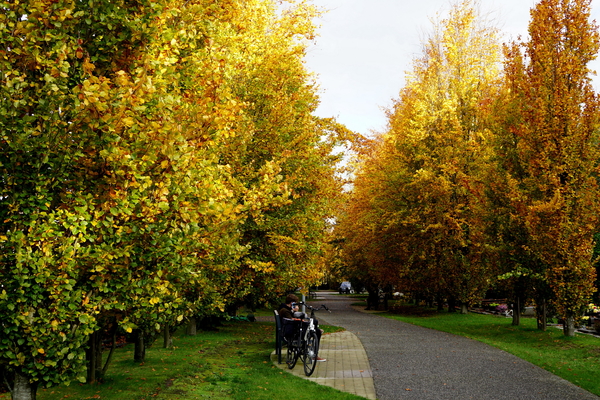 Oud Kerkhof Blekerijstraat-9-11-19-Herfst