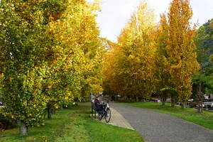 Oud Kerkhof Blekerijstraat-9-11-19-Herfst