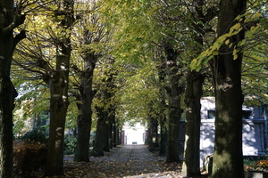 Oud Kerkhof Blekerijstraat-9-11-19-Herfst