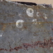 IMGP1471(fossielenwerkplaats omgeving Erfoud)