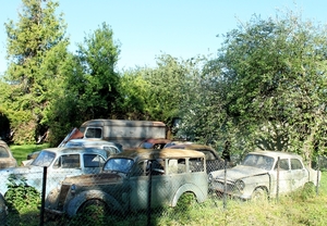 IMG_2388_2019-06-01_VVK-Napoleon-Route_Simca-oldtimer-kerkhof