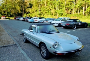 DSCN8041_2019-06-01_VVK-Napoleon-Route_Alfa-Romeo-Spider_Duetto-1