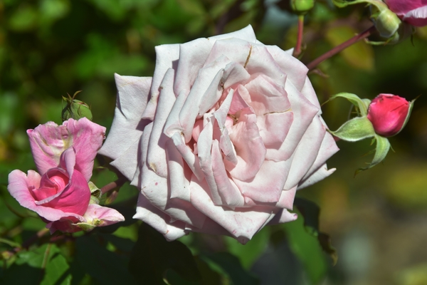 DSC_1691