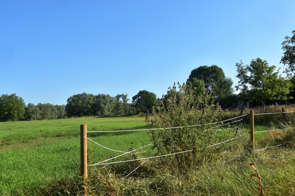 DSC_1692
