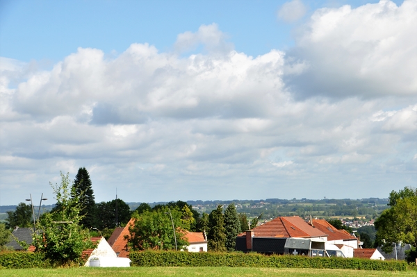 DSC_0052
