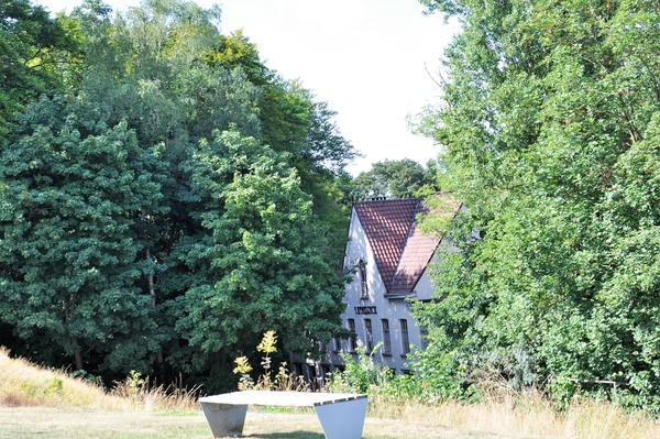 DSC_0061