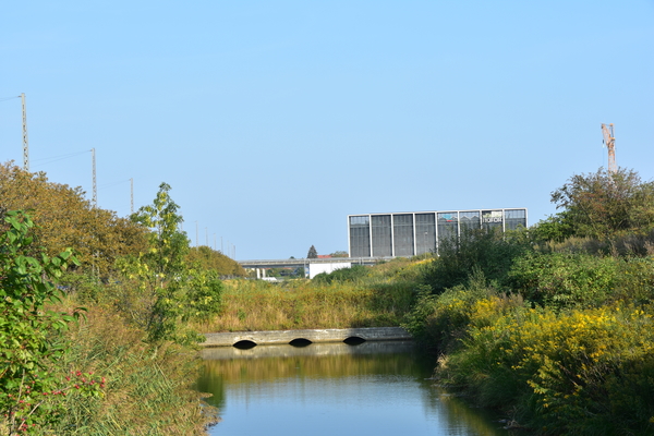 DSC_1865