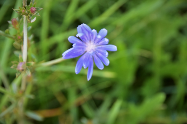 DSC_1882