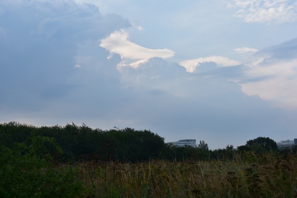 DSC_1885