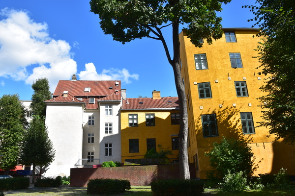 DSC_1949