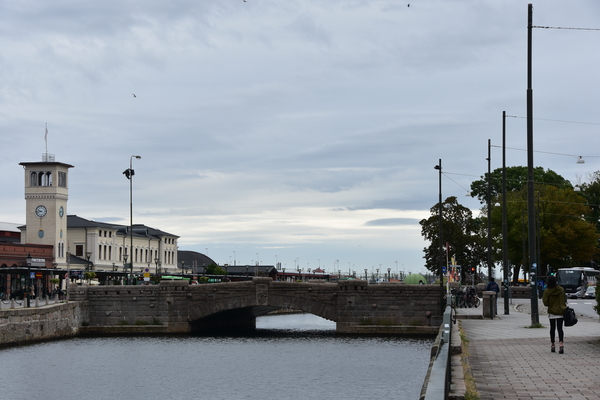 DSC_1954