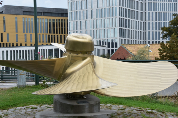 DSC_1955