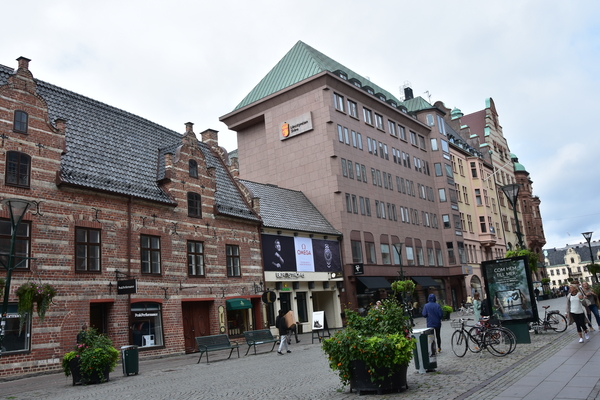 DSC_1981