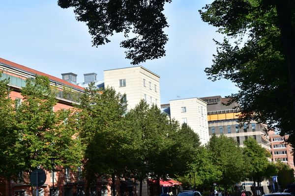 DSC_2001