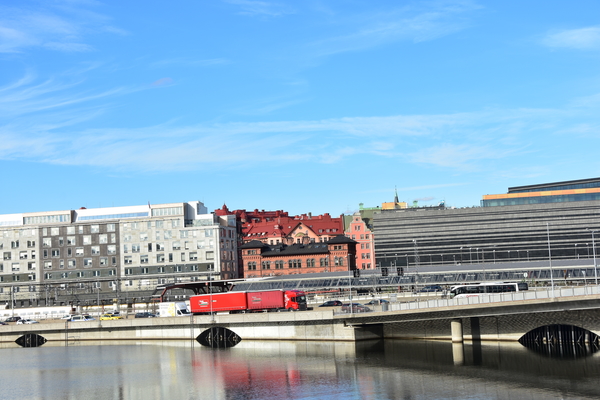 DSC_2010