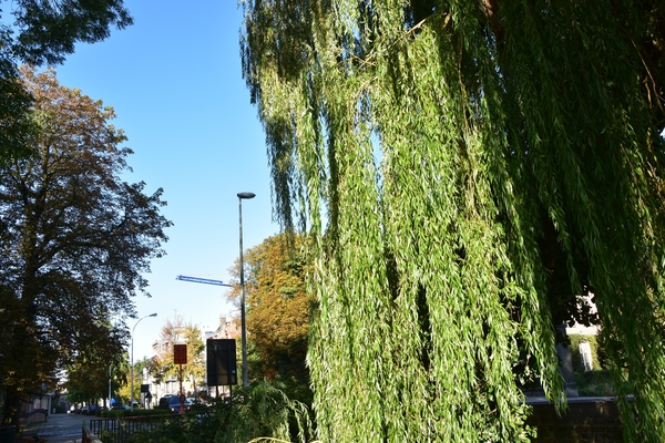 DSC_2060
