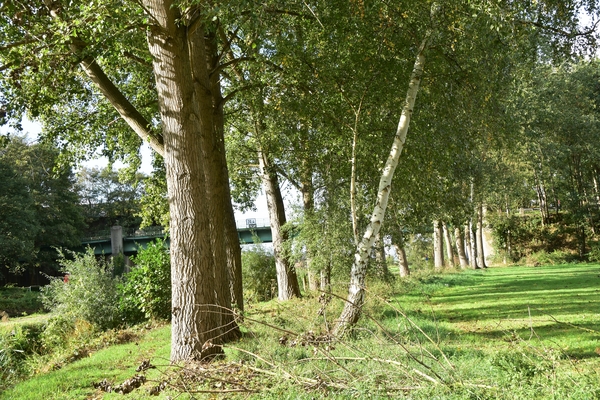 DSC_2251