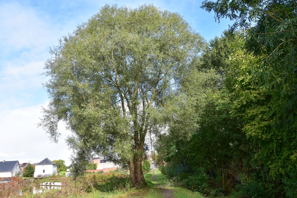 DSC_2269