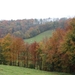 herfstkleuren