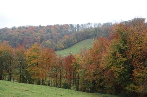 herfstkleuren