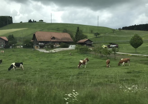 plantenmarkt in Elfenau  en Escholzmatt
