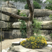 zoo bern dhlhlzli