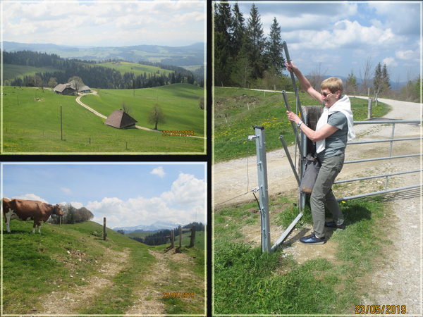 Het was een puzzel om het poortje open te doen