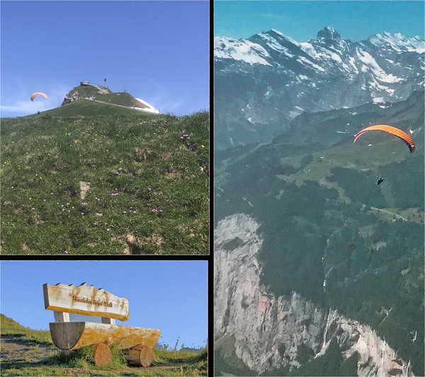 Mnnlichen & Paragliding