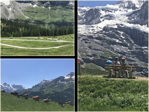 Van kleine Scheidegg naar Wengen