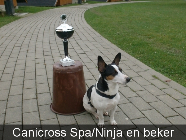 ninja spa