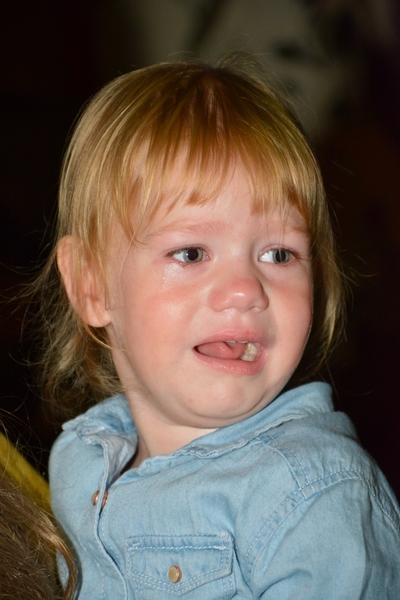 DSC_1441