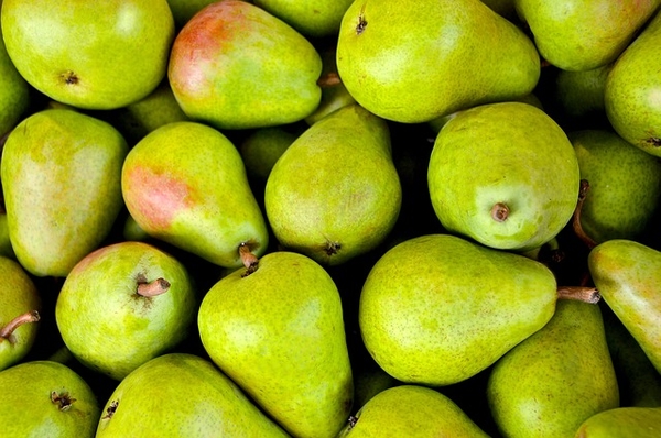 Peren