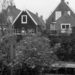 Gezicht op oude weide // 1900