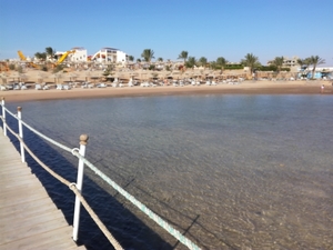 IMG_20190828_080009