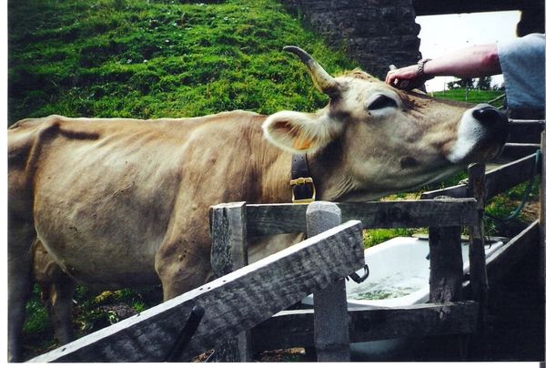 zww bezoek luzern zwitserland (4)