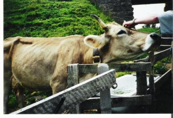 zww bezoek luzern zwitserland (21)