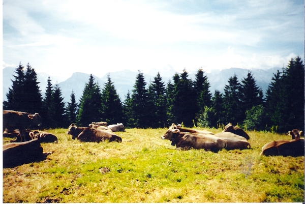 zww bezoek luzern zwitserland (29)