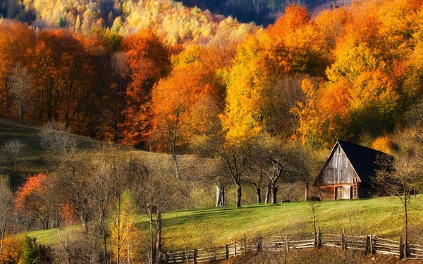 278449-fall-barns-nature-forest-grass-hill-landscape-trees-colorf
