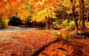 HD-Autumn-Beautiful-Beauty-Lake-Hd-Wallpapers