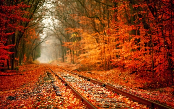 herfst-achtergrond-met-spoorrails-en-rood-oranje-bladeren