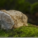 sized_IMG_0006